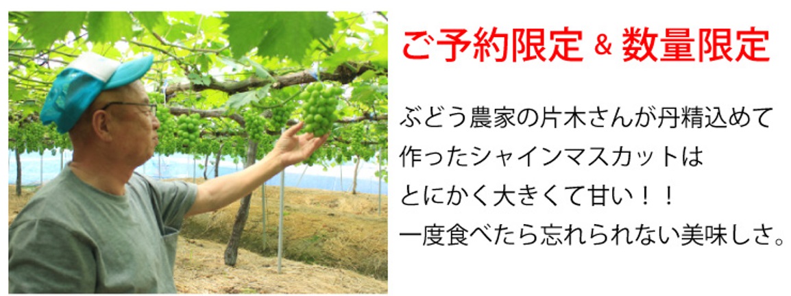 ご予約限定・数量限定　一度食べたら忘れられない美味しさ